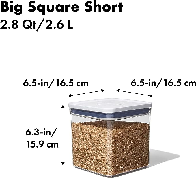 OXO CONTENITORE POP 2.6 LT QUAD BIG